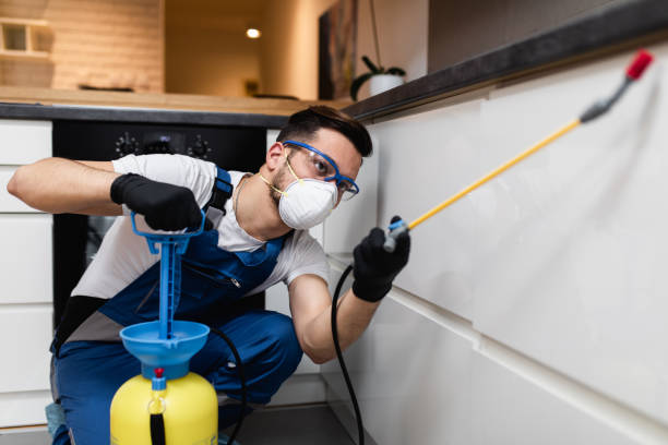 Professional Pest Control in Campbellsville, KY